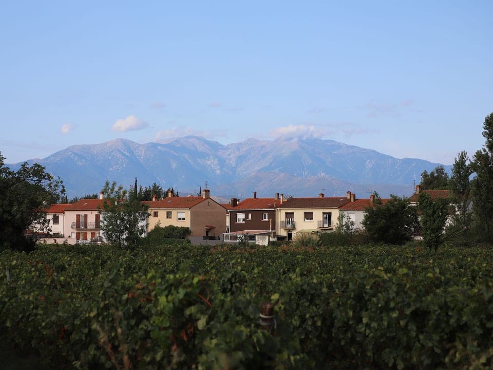 Village de la plaine du Roussillon devant le massif du Canigou